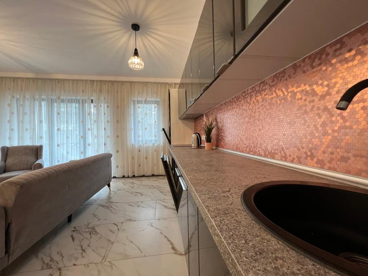 Inchiriere apartament 2 camere modern Iancu Nicolae