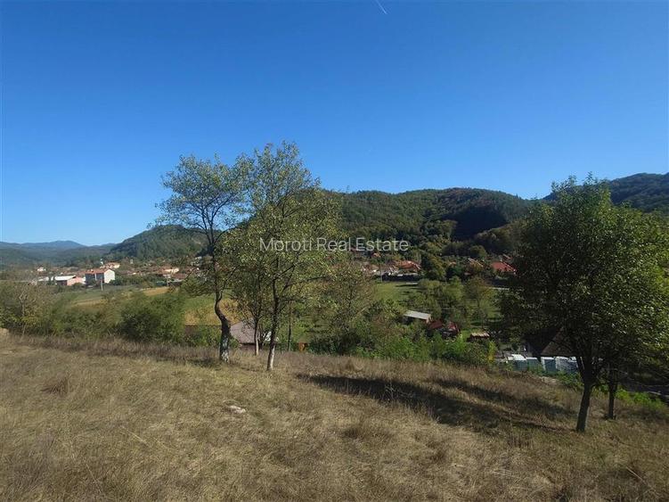 14075 mp teren cu acces la utilitati - Criscior - 2