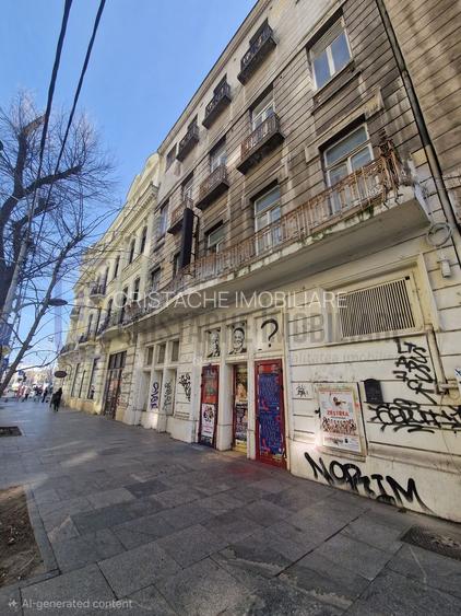 Spatiu comercial stradal Regina Elisabeta - 13