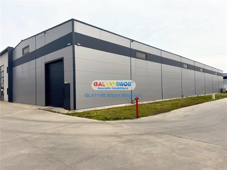 Inchiriere Spatiu Depozitare Hala Centura-Mogosoaia - 2