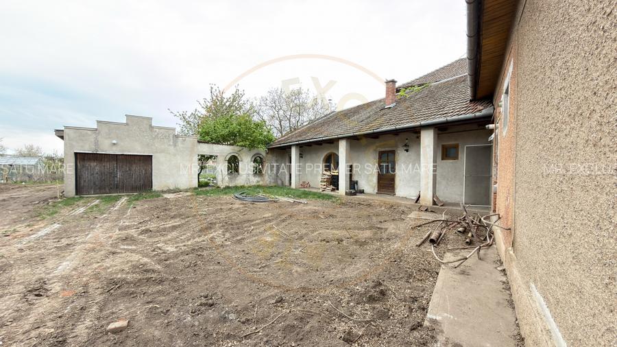 Proprietate cu 2 case | Teren 546 mp | Str. Albinelor Nr.18 - Carei - 18