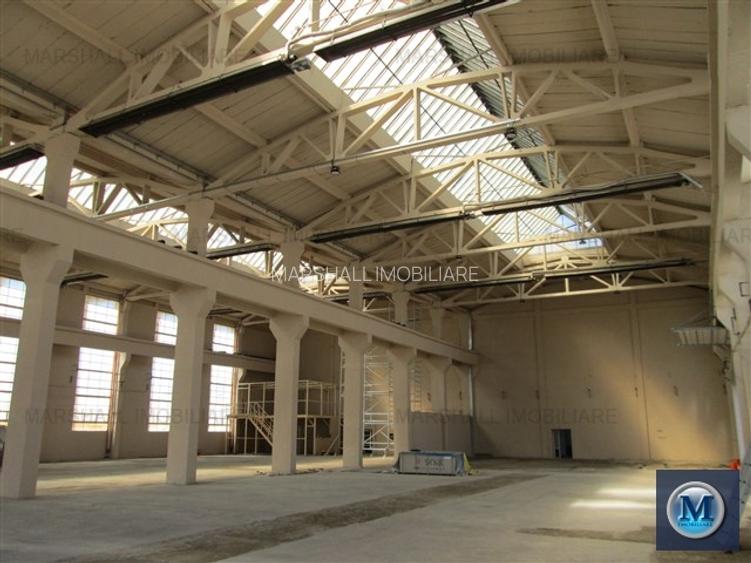 Spatiu industrial de inchiriat in Boldesti-Scaeni, zona Sud, 1948 mp #10186 - 7