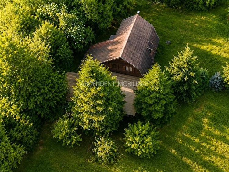 Casa/ Cabana+2.000 mp teren in miracolul naturii autentice,Bucin(Praid), Harghit - 21