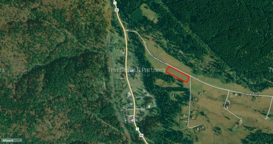 Poiana lui Manole - teren Intravilan - 12