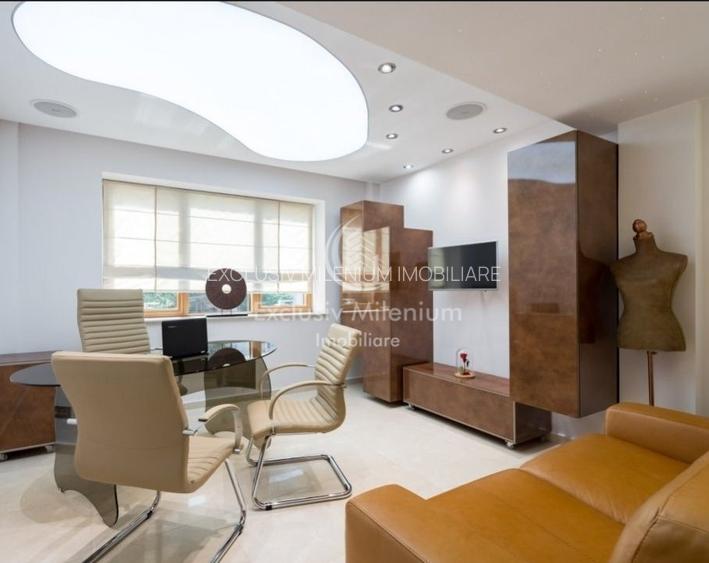 Vila/Casa Clinica /Salon de infrumusetare Lacul Tei  /Parcul Circului birouri  - 18