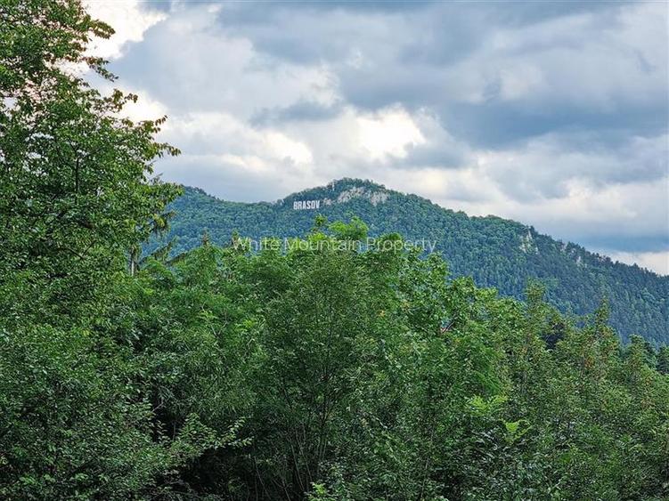 De vanzare: Apartament 3 camere premium Belveo - 7