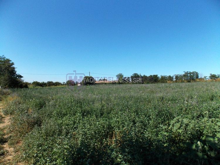 TUZLA - Teren intravilan 1000 mp, langa lacul Techirghiol! - 7