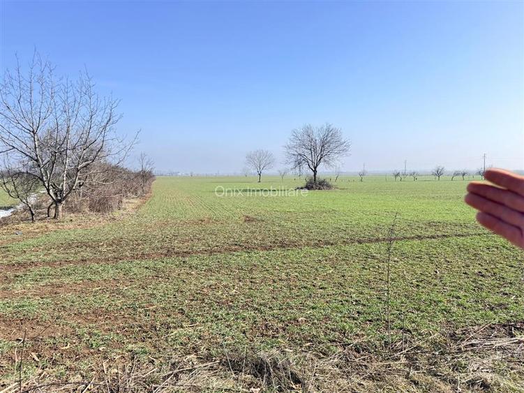 Teren Băicoi 3.000 mp | Ideal Construcție Casă sau Parcelare - 4