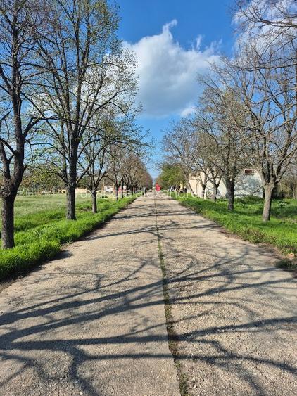 Teren pretabil SUPERMARKET la 30 km de Bucuresti CU DESCHIDERE LA  DN3 - 5