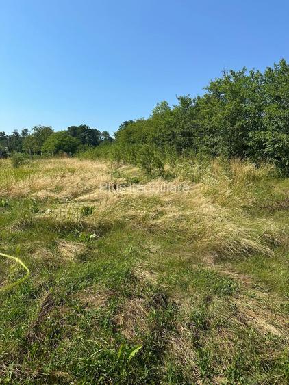 Casă cu teren de 5.700 mp, Pădureni,se accepta si schimb cu apt in Iasi - 14