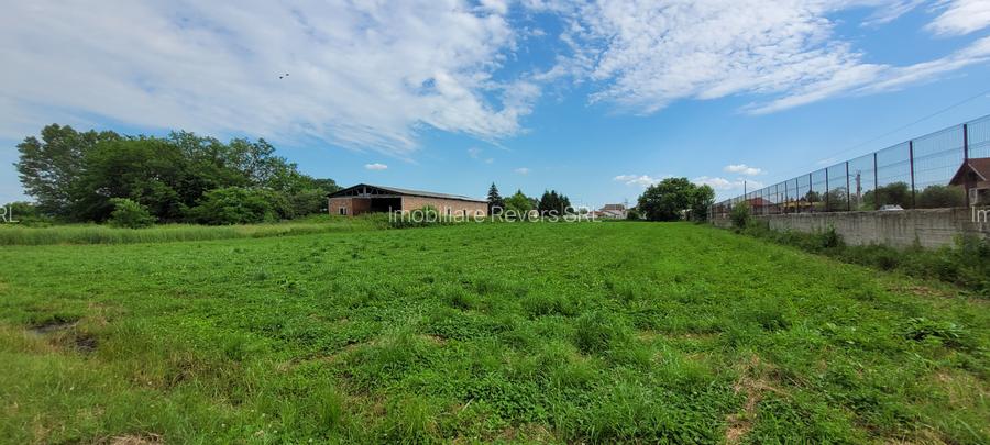 HALA 400 MP - ZIDARIE  IN CONSTRUCTIE-CU TEREN 6100 MP, DUBLU ACCES TIR BABENI - 24