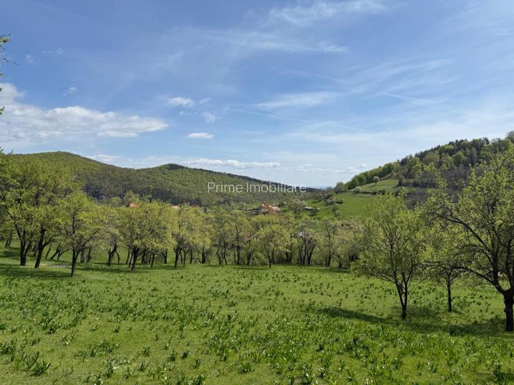 TEREN INTRAVILAN 8330 MP, INURI, VINTU DE JOS - 7