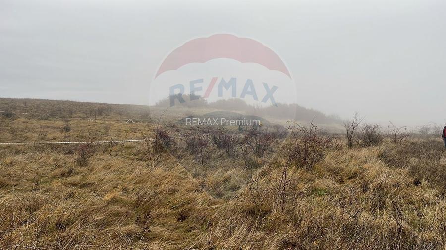 COMISION 0%- Teren 544mp Padureni (Chinteni) / Strada Principala - 3