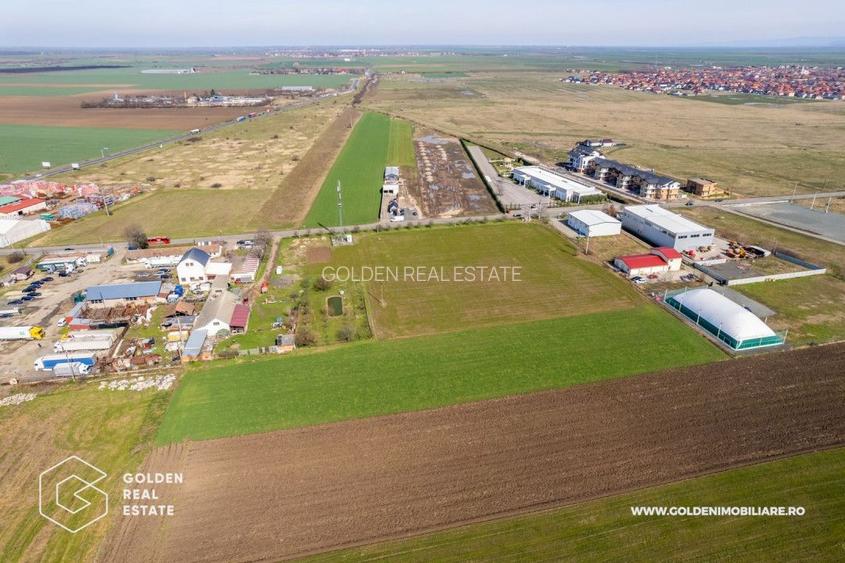 Teren extravilan, 20000 mp, Sanleani - 4