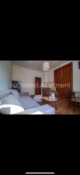 Villa 20 rooms for sale / Calea Victoriei - 2
