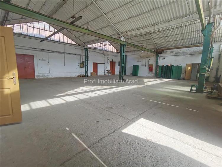 Inchiriez hala 470 mp, Sannicolau Mic - 7