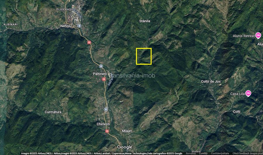 Padure zona Nehoiu  6H – 0,6 euro/mp - 5