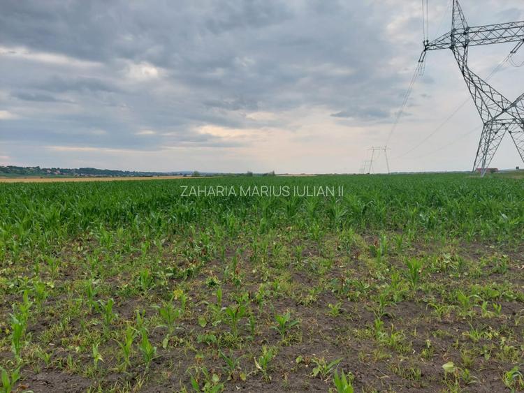 Oportunitate de Investitie!!! - 6