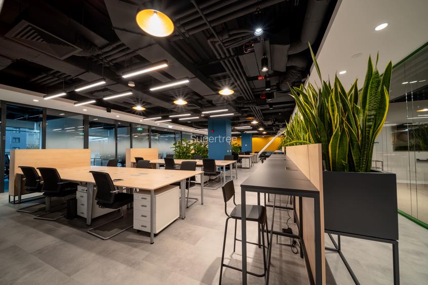 Birou privat premium (până 3 persoane, cu lumină naturală, la Supertree Pipera) - 4