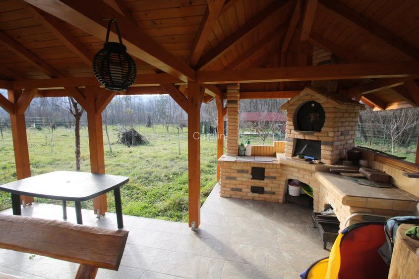 Proprietar vand parcela ptr. cabana de vacanta in Muntii Poiana Ruscai - 14