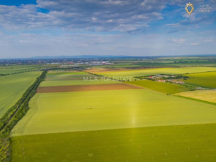 Teren Extravilan Arad de vanzare - 21