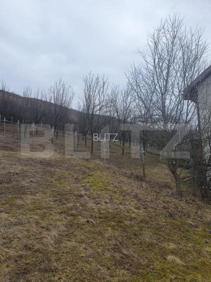 Casa individuala, 160 mo, comuna Suatu - 5