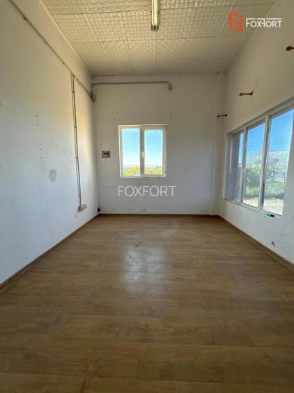 Spatiu industrial Sacalaz, 660 mp utili-Pretabil brutarie, depozitare, productie - 6