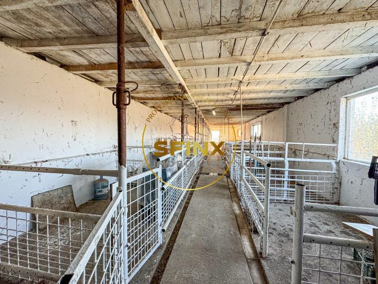 De vanzare ferma Calarasi in stare de conservare - sere - livada  - 8