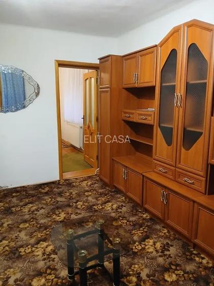 Apartament cu 2 camere, etajul 1/2, zona Podu Ros - 3