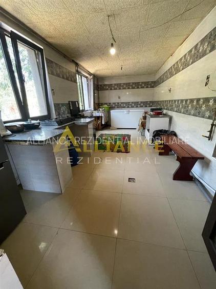 Brancoveanu-Nitu Vasile | Casa Individuala- D+P+1+M - 17