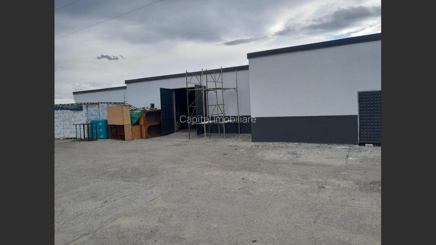 Spatiu industrial de vanzare, 8120 mp, Neamt - 12