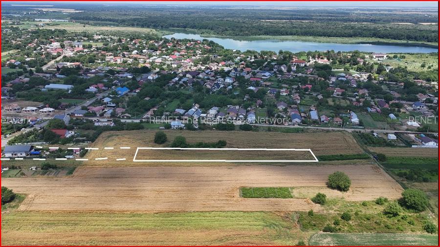 GRADISTEA, TEREN 2.000 MP! - 4