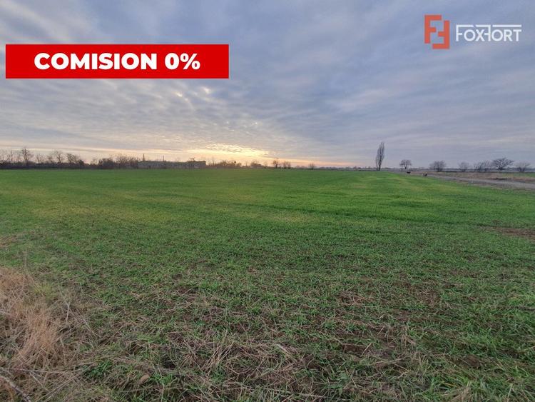 COMISION 0% Teren intravilan industrial 28.395 mp la sosea in Sag