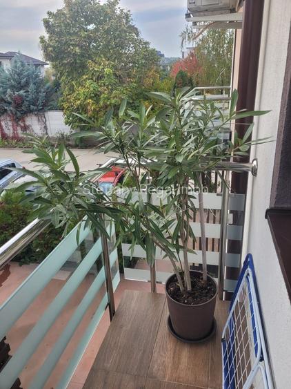 Casa 3 camere de vanzare Ghencea - Cartierul Latin - 12