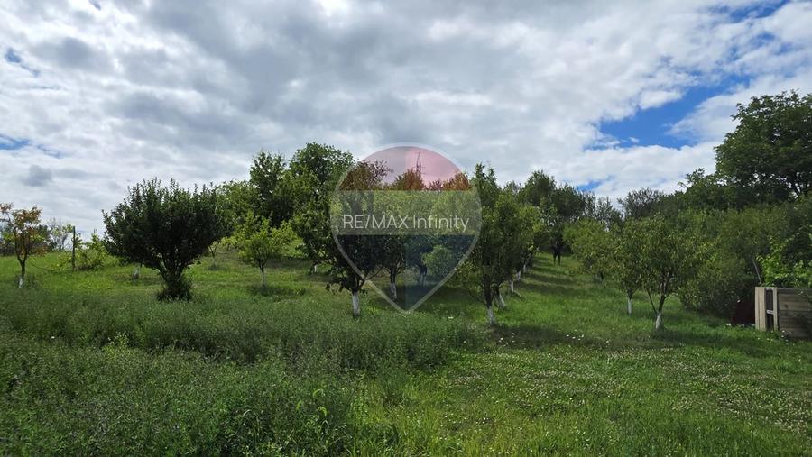 Casă cu teren generos de 2.800 mp la 38 km în satul Elciu - 11