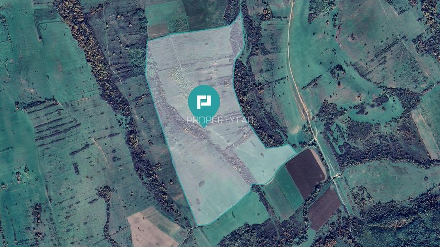 Teren arabil de 87 hectare în Bara, Timiș - 4