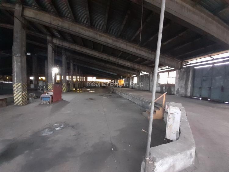 Hale si teren in Popesti Leordeni - 2