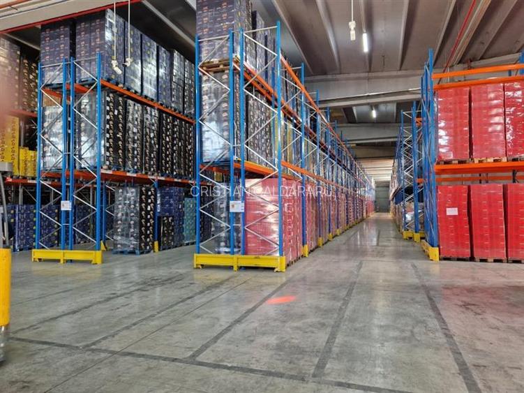 Inchiriere depozit/hala/spatiu industrial Popesti Leordeni-Danubiana - 4