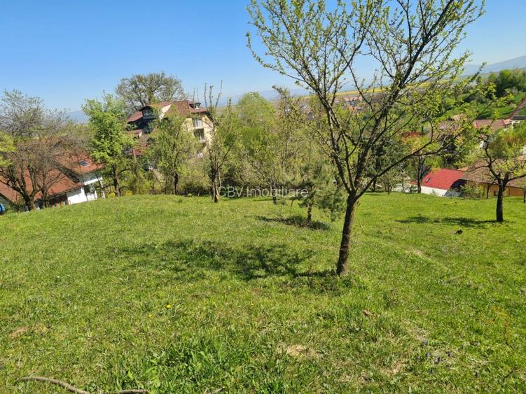 Teren Intravilan pentru Constructii Casa - 4