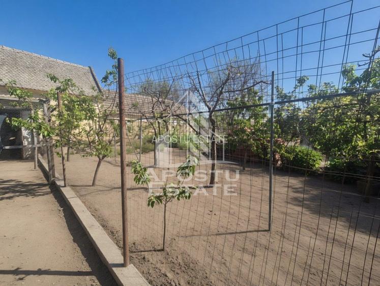 PROPRIETATE PREMIUM TEREMIA MARE - APOSTU ESTATE - 17