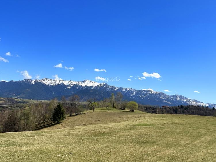 Teren 1550 mp, sat Pestera, zona Bran-Moieciu, jud. Brasov - 5