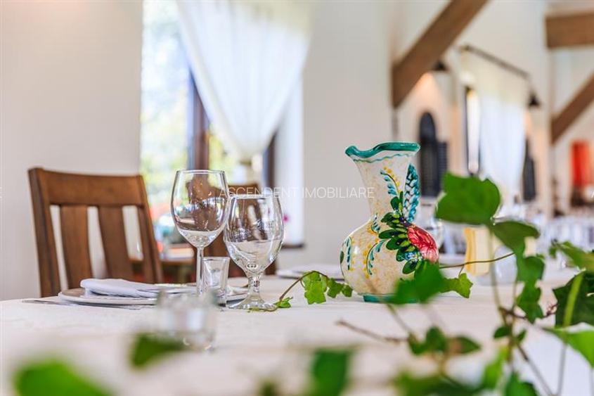 Hotel Bielmann,unicitate si profitabilitate optima in turism,Sanpetru, Brasov - 19