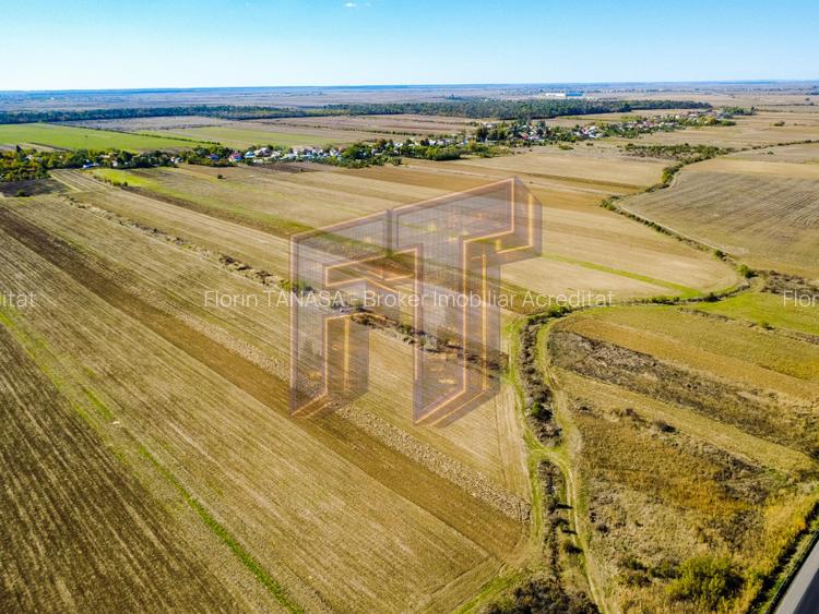 Terenuri industriale cu deschidere la A1, km 64 – Jugureni, Dâmbovița - 13