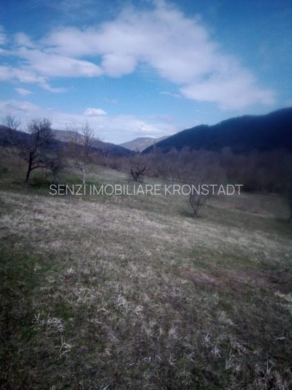 Teren superb in zona Geoagiu, Hunedoara - 6