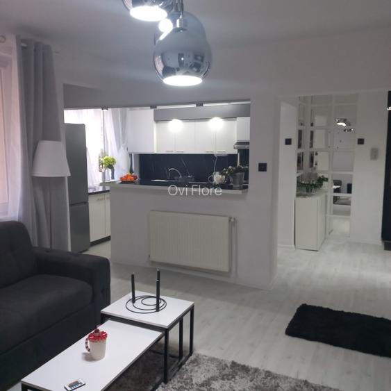 Apartament 2 camere de inchiriat Arad  - 11