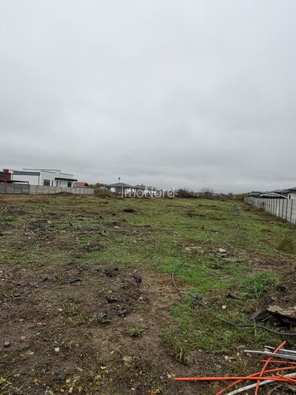 Tamasi, Corbeanca – teren 9838 mp - 6