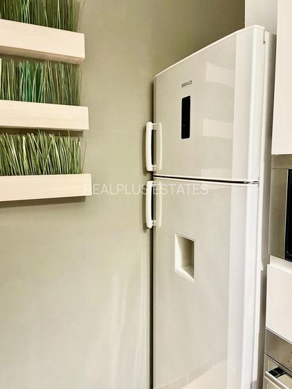 Inchiriere 2 camere Dorobanti - 12