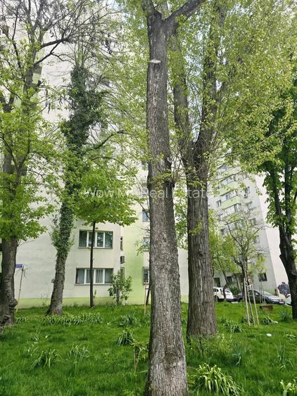 Apartament 3 Camere Fabrica de Gheață, Colentina - 21