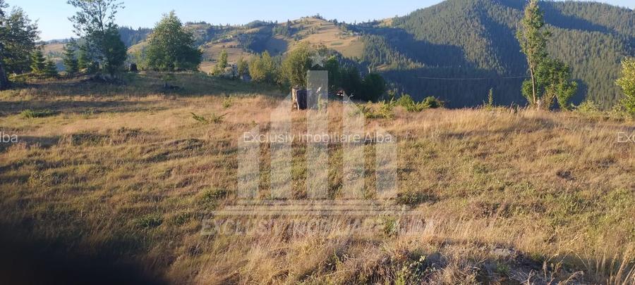 Teren intravilan | 3565 mp | Ideal constructie cabane | Garda de Sus - 3