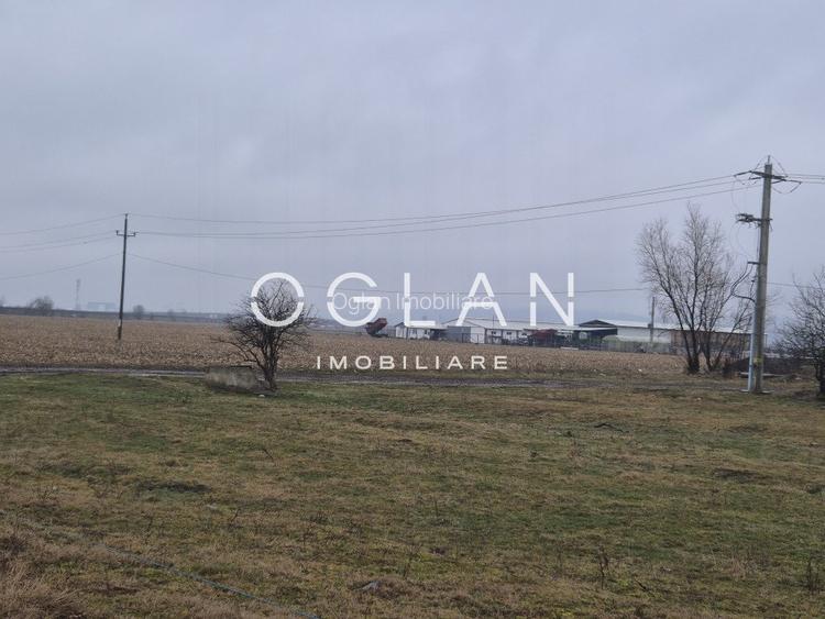 Teren extravilan 11.300 mp, front 39 m, Selimbar - 2